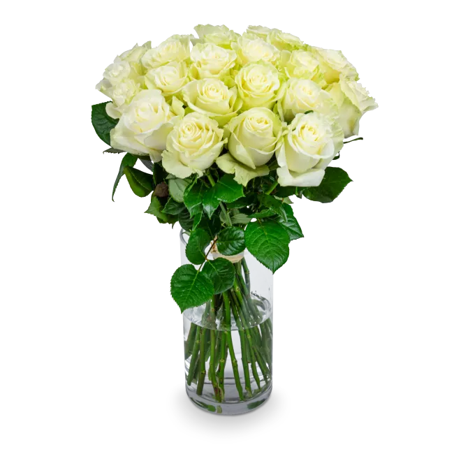 Bouquet of white roses